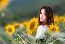 古井茶香，情意绵绵：喝茶的社交魅力与健康益处